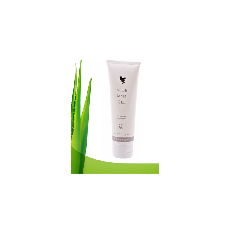 Aloe MSM Gel
