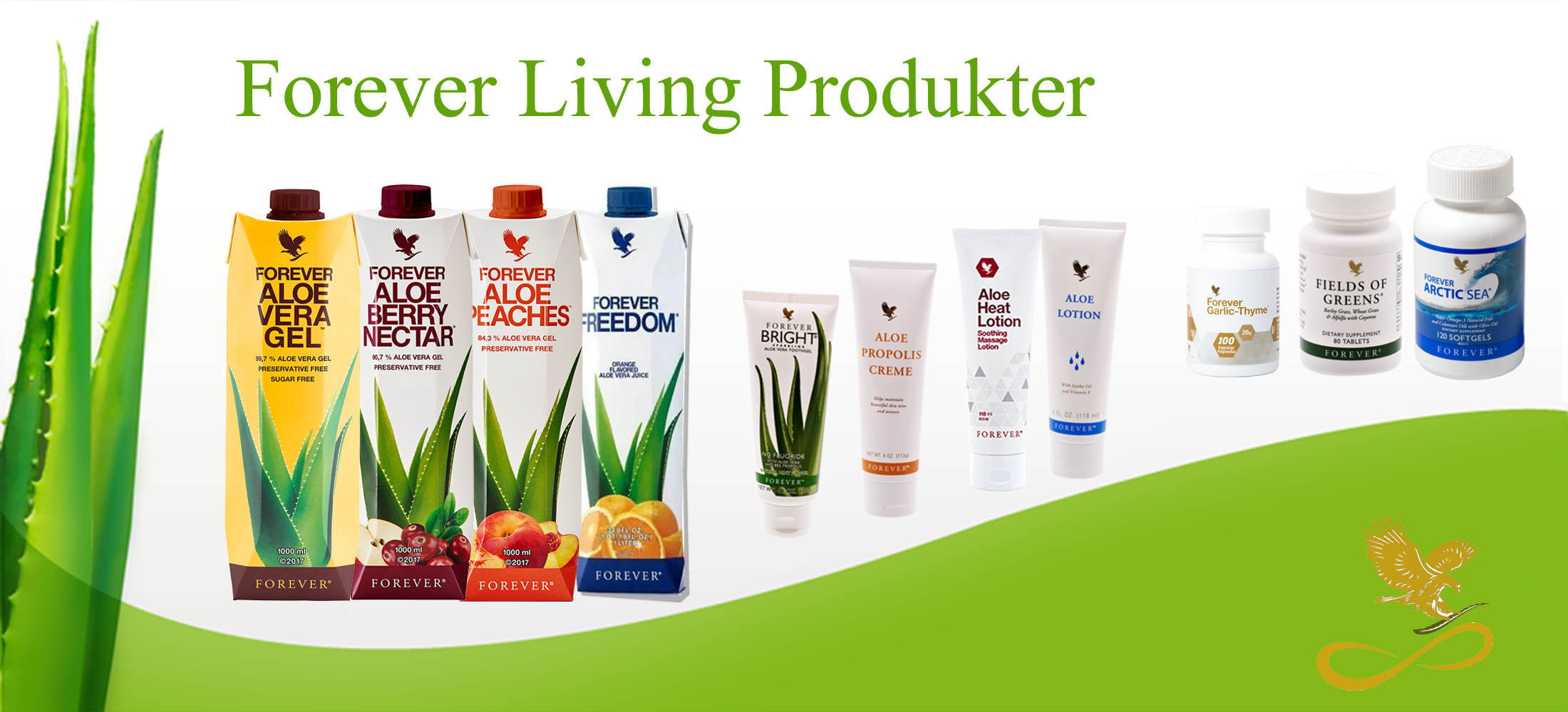 FLP-slide2200x1000-T.png